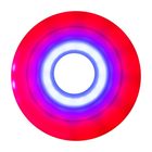 Luminous Duo wheel, red blue, lit